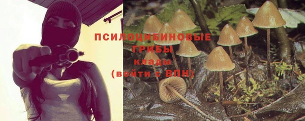 a pvp Балахна